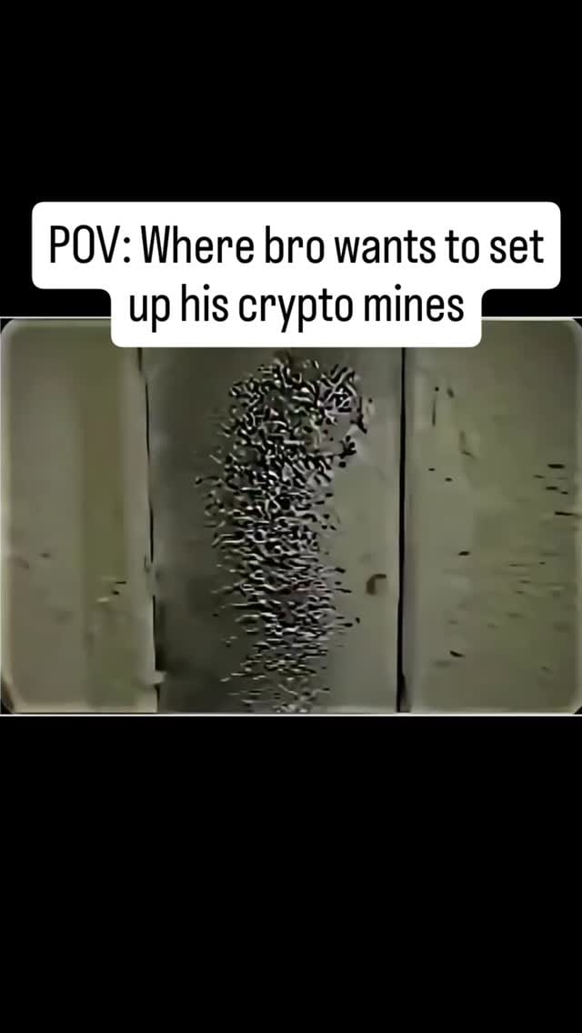 Post 4 by Crypto369 on Instagram (video)