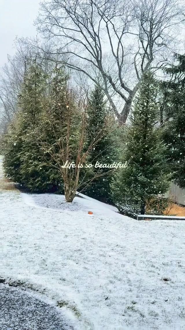 Post 6 by Dina ♊️ on Instagram (video)