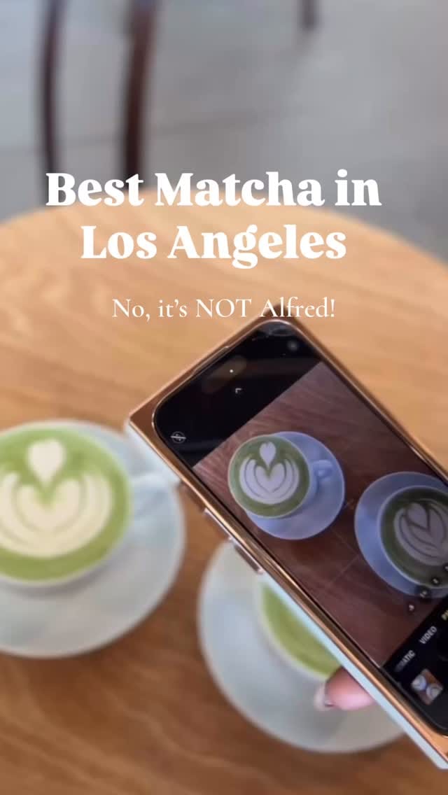 Post 2 by Liz Shamooni on Instagram (video)