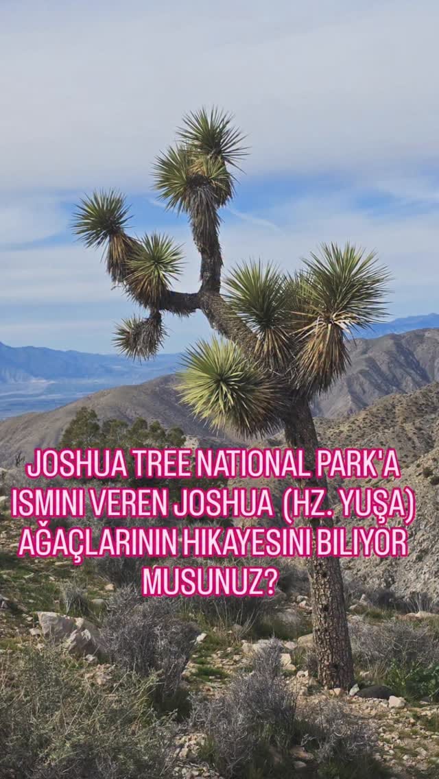 Post 5 by Berra Demirel on Instagram (video)