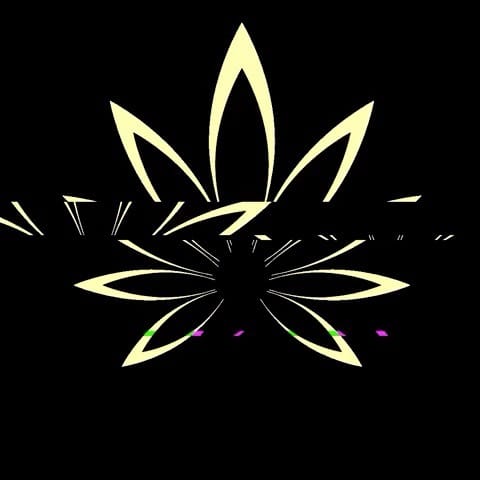 Post 8 by Leaf To Ember on Instagram (video)