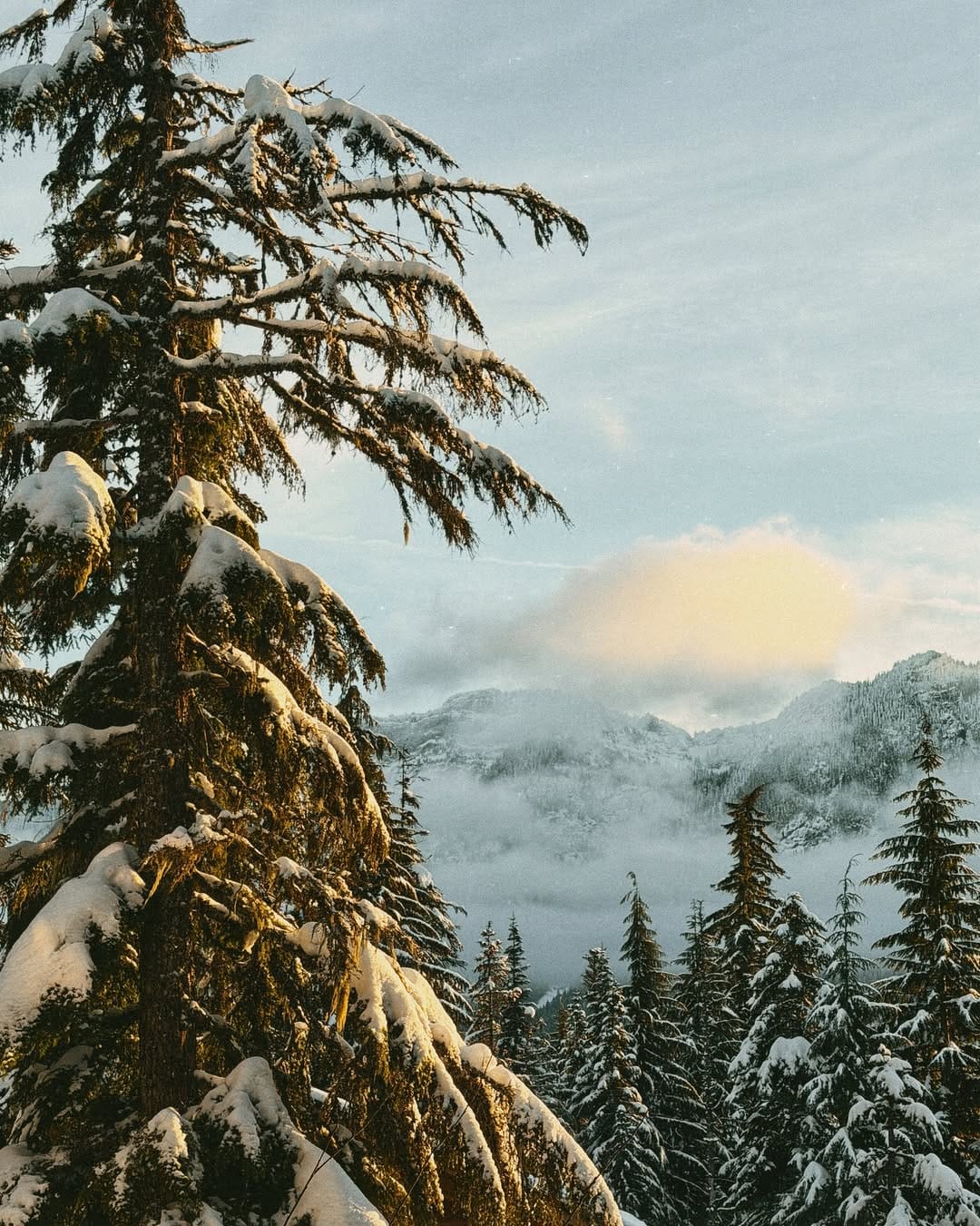 Post 7 by Terumi Pong Seattle Family Travel & Life on Instagram (carousel)