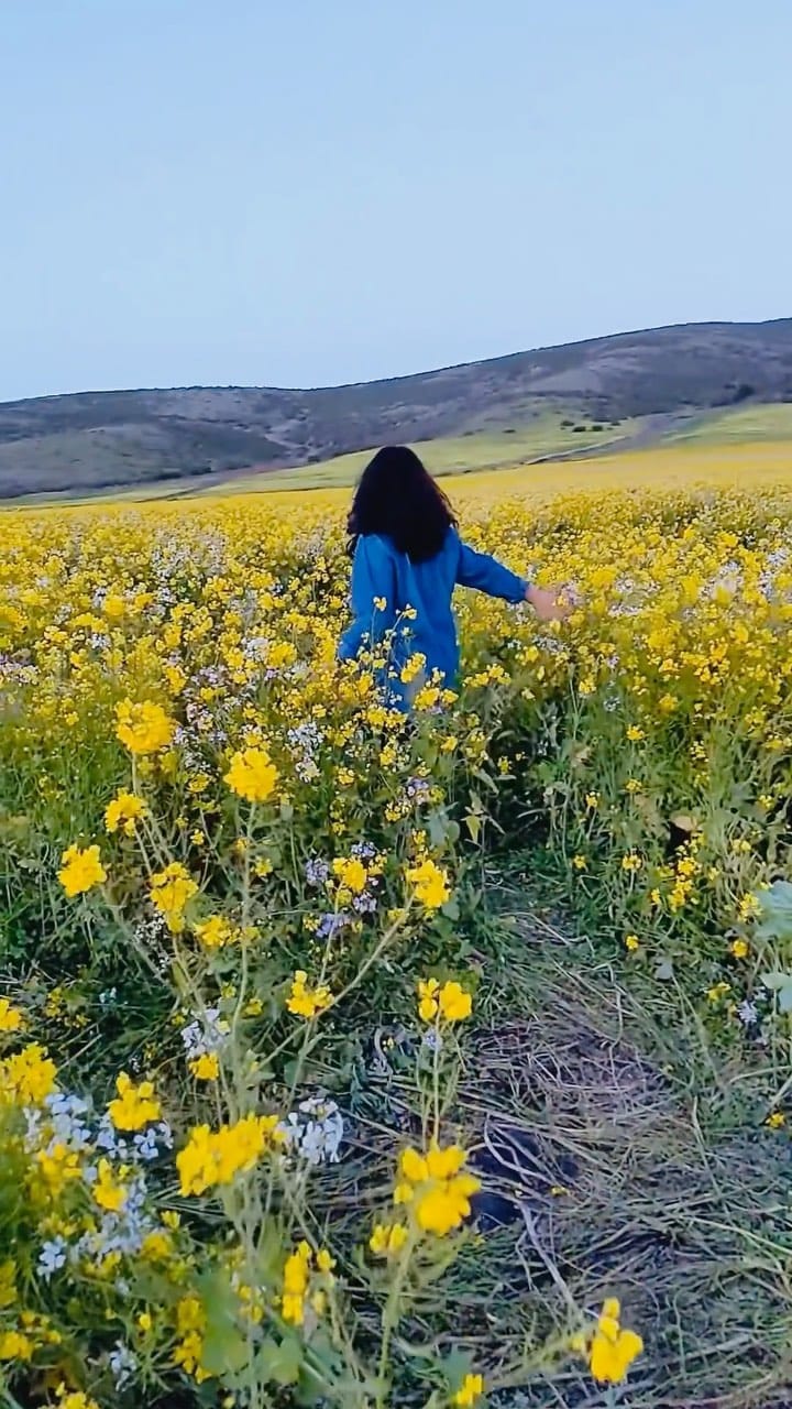 Post 3 by NISHA RAWAT on Instagram (video)