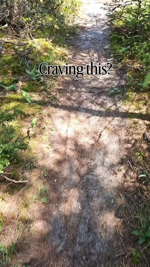 Post 3 by MyMichiganBeach.com Michigan Travel ✋🏼🏖 on Instagram (video)