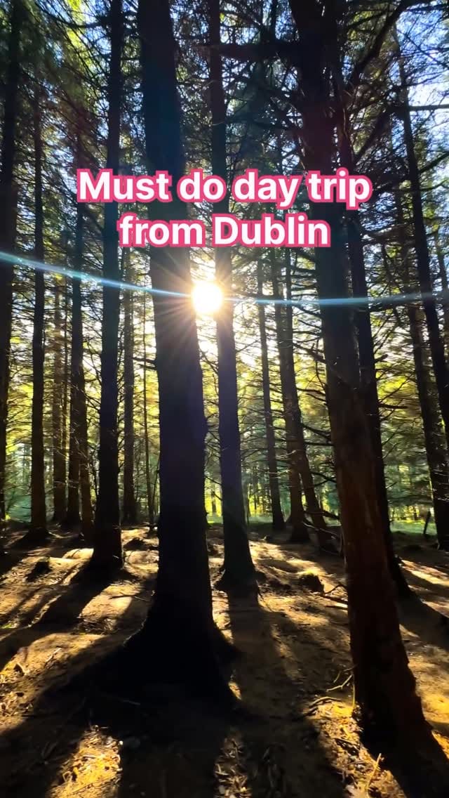 Post 6 by Gargee | Ireland & Europe Travel ✈️ on Instagram (video)