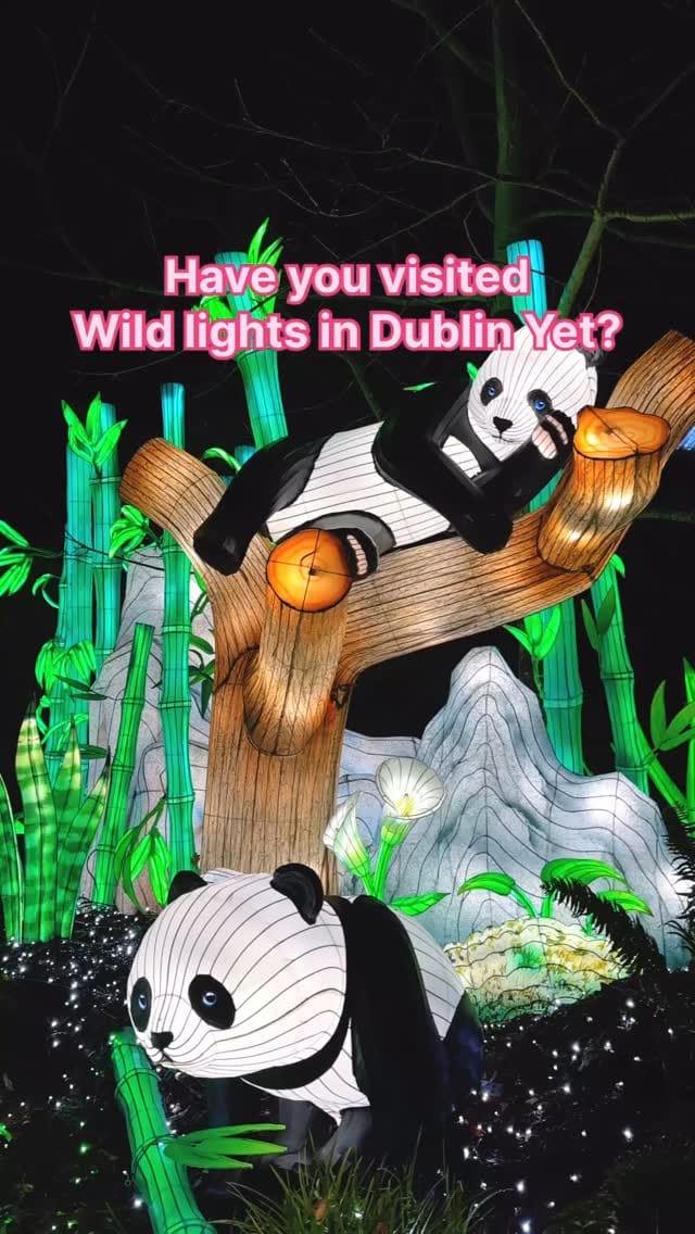 Post 8 by Gargee | Ireland & Europe Travel ✈️ on Instagram (video)
