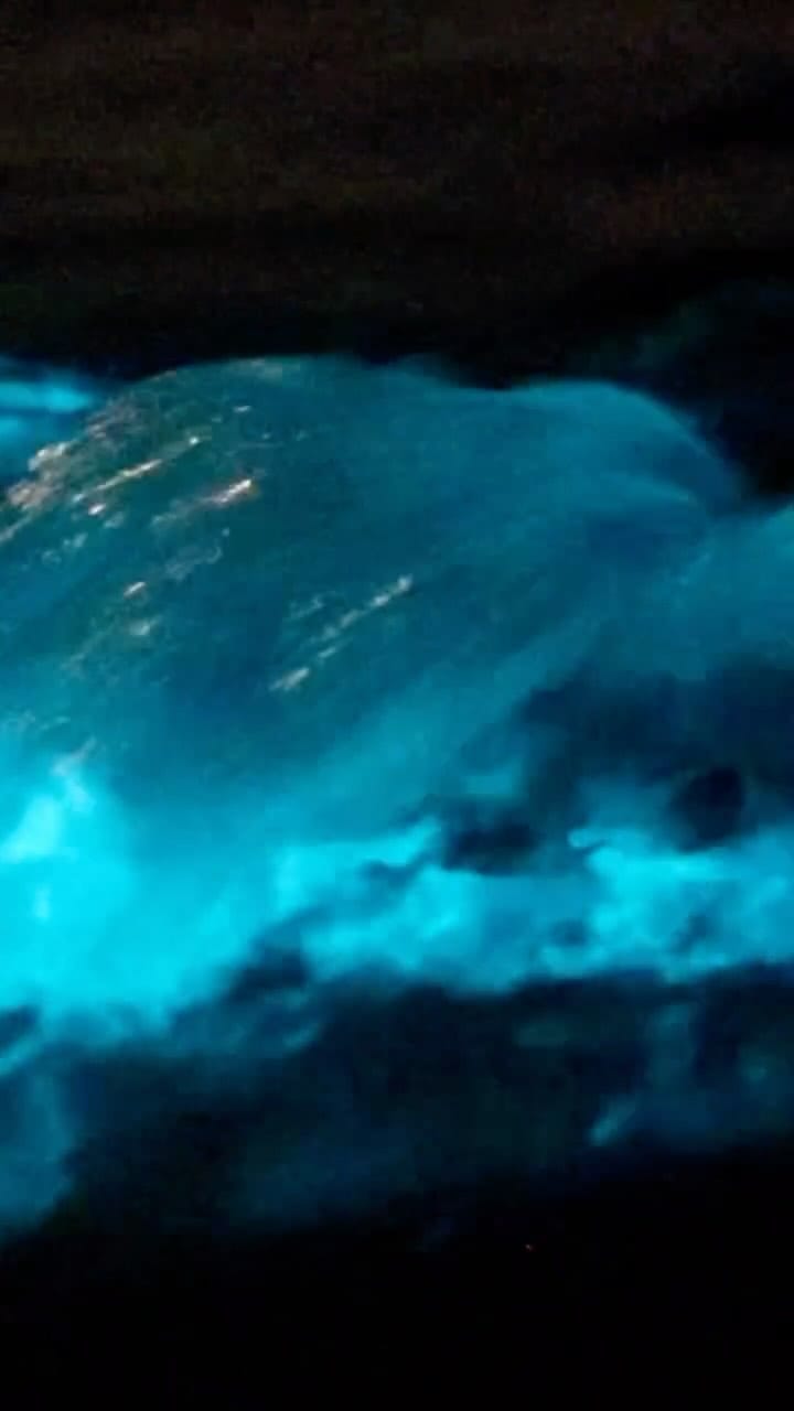 Post 2 by TripKee, Florida Adventures on Instagram (video)