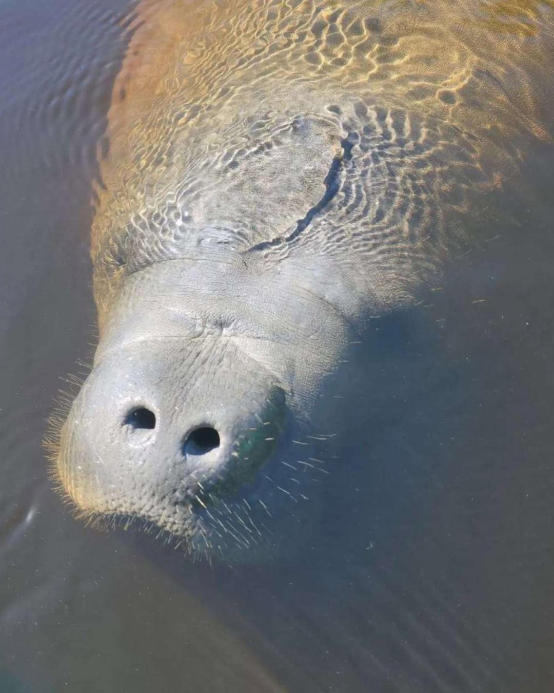 Post 8 by TripKee, Florida Adventures on Instagram (carousel)