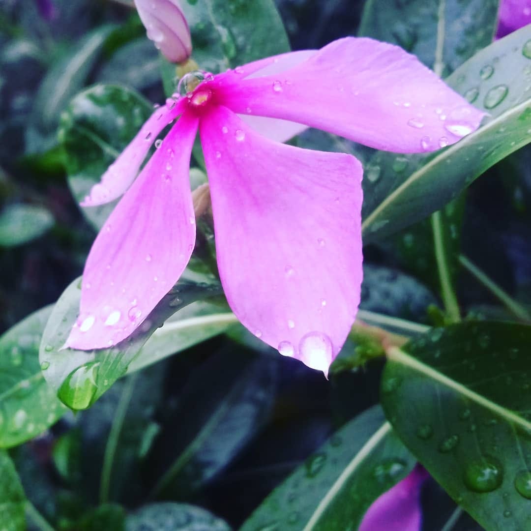 Post 8 by Sumit Sharma (Dr.Jerry) on Instagram (image)