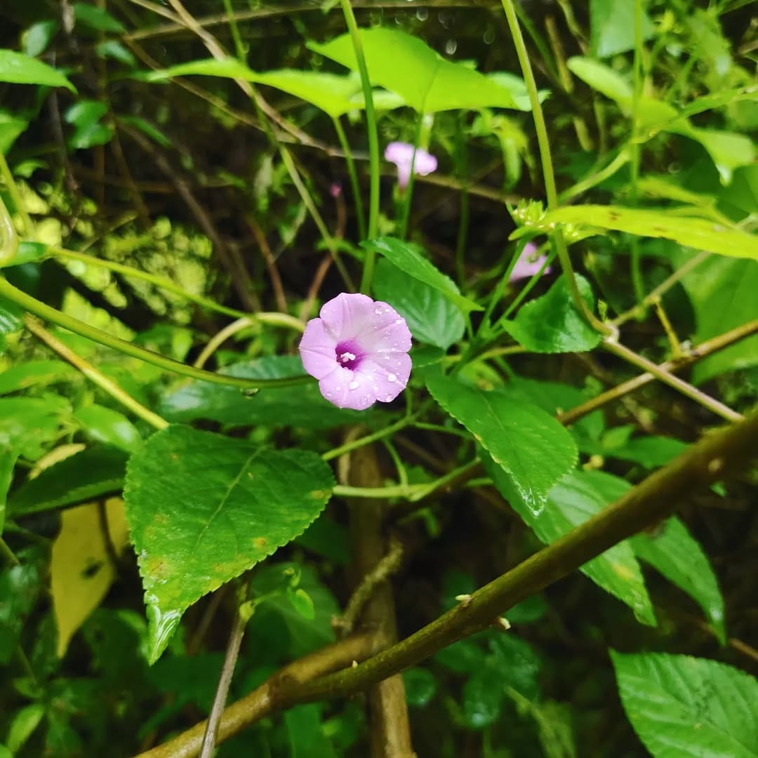 Post 2 by Sumit Sharma (Dr.Jerry) on Instagram (image)