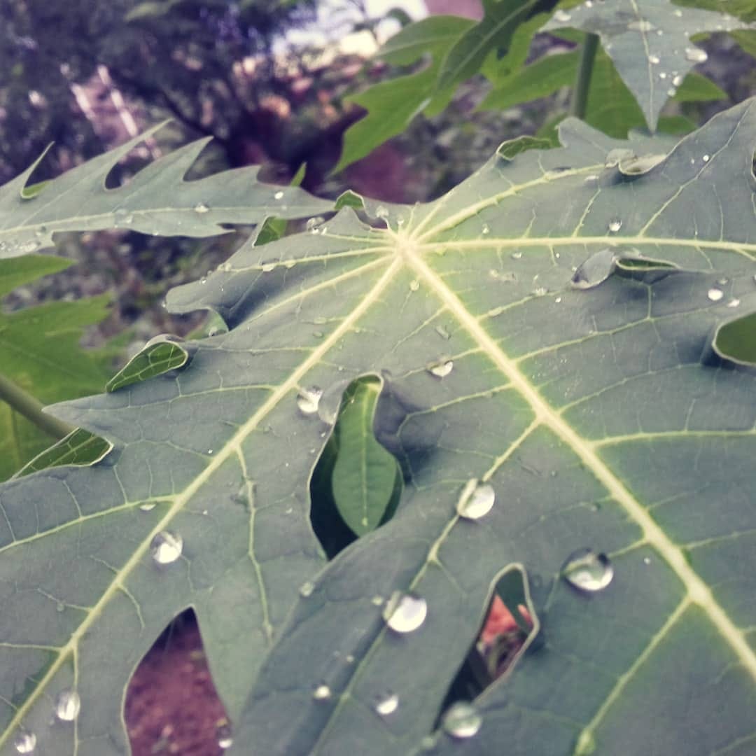 Post 7 by Sumit Sharma (Dr.Jerry) on Instagram (image)