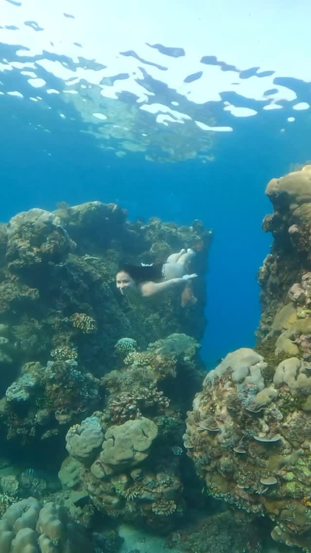 Post 9 by Emily Alexandra Guglielmo on Instagram (video)