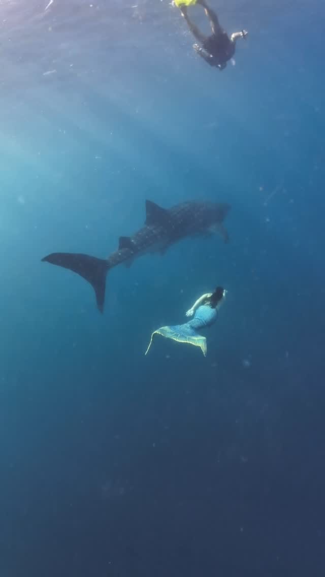 Post 8 by Emily Alexandra Guglielmo on Instagram (video)