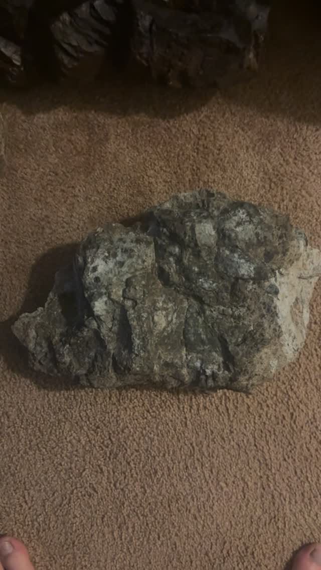 Post 10 by Bryan Drake on Instagram (video)