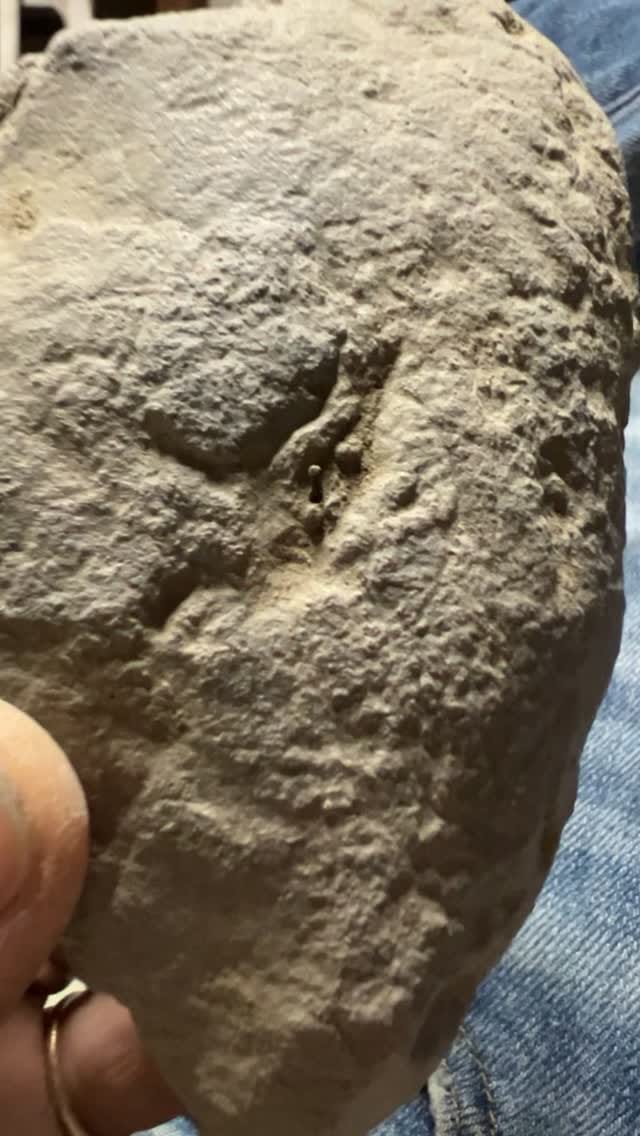 Post 5 by Bryan Drake on Instagram (video)