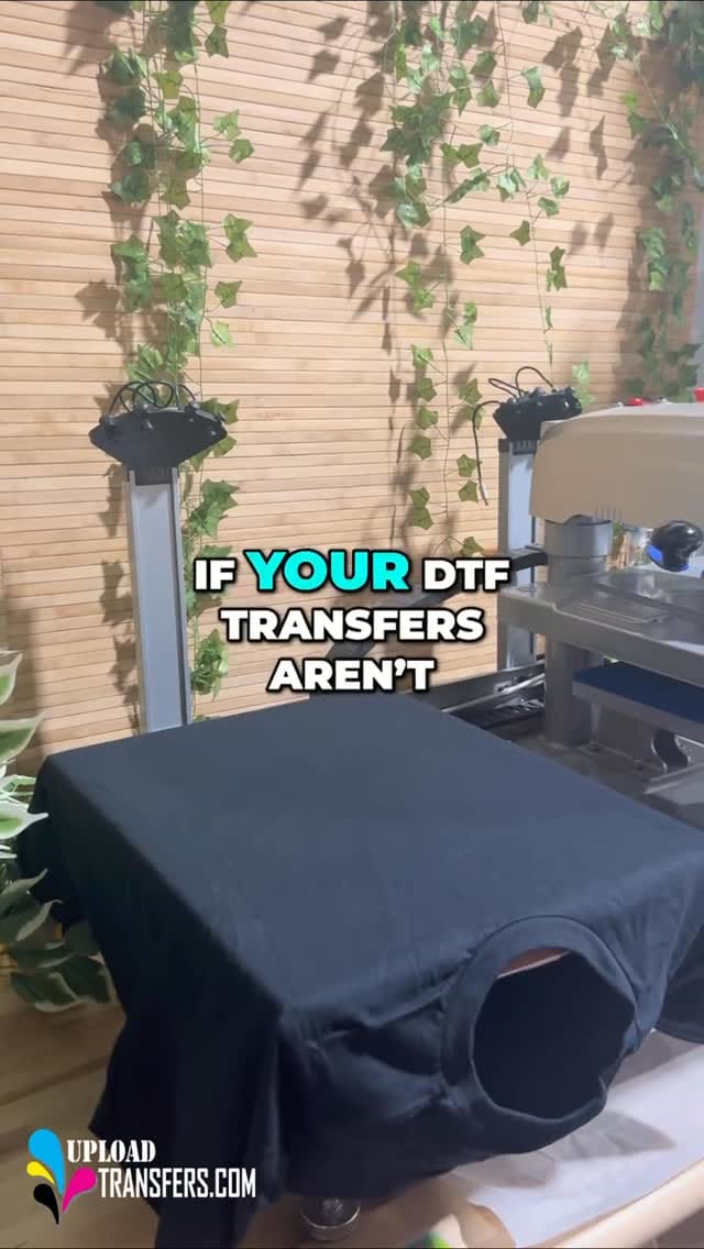 Post 5 by Upload Transfers on Instagram (video)