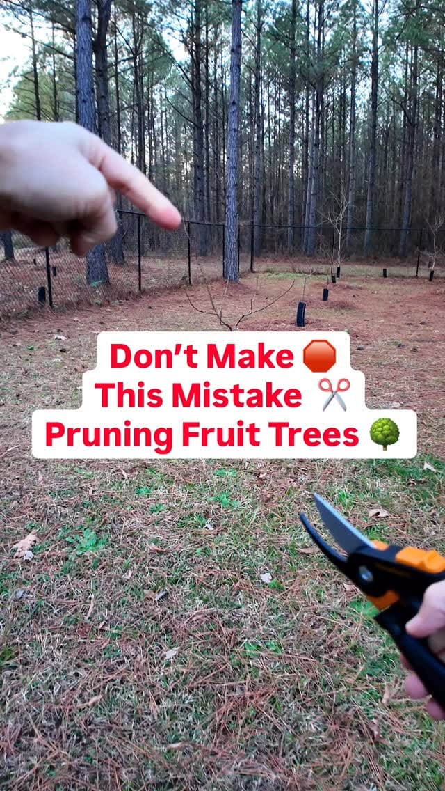 Post 4 by Josh Gardens on Instagram (video)