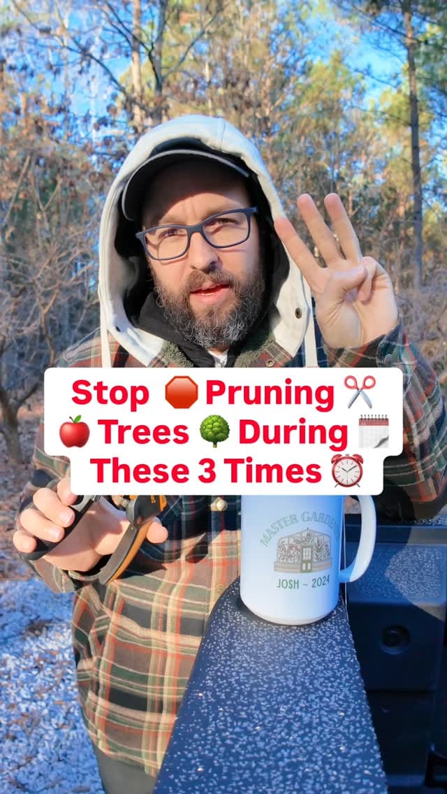 Post 1 by Josh Gardens on Instagram (video)