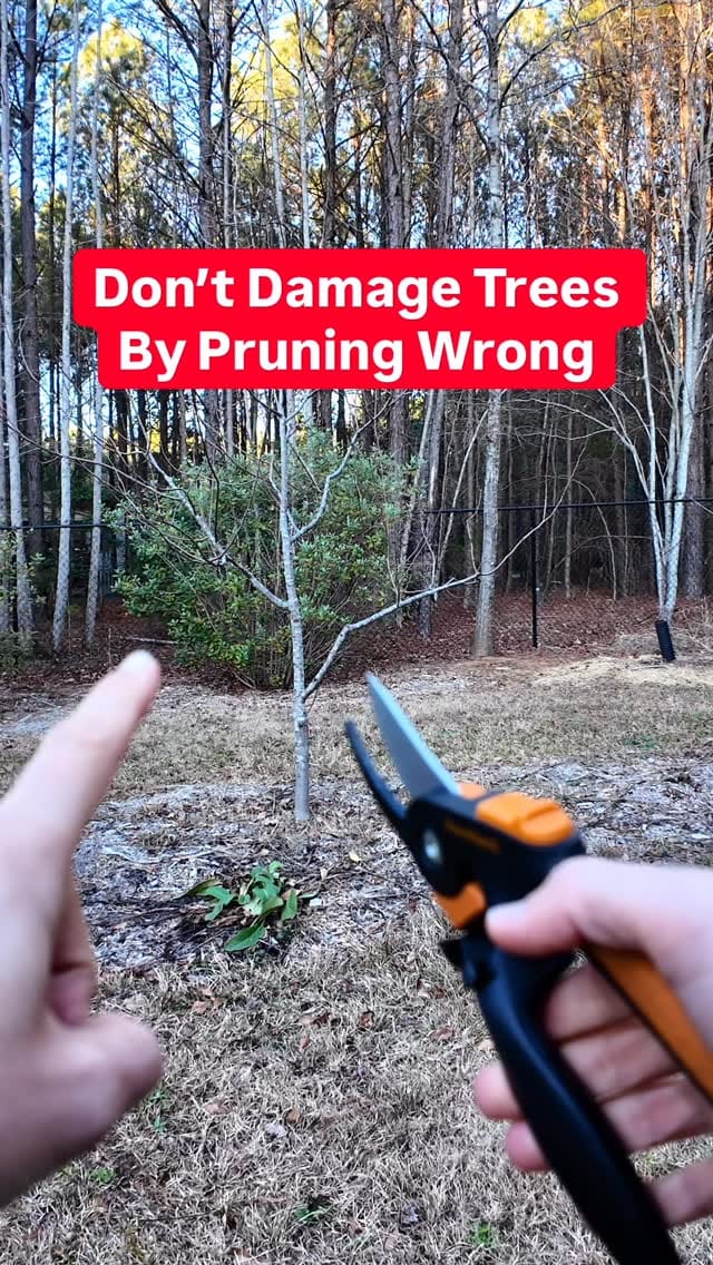 Post 2 by Josh Gardens on Instagram (video)