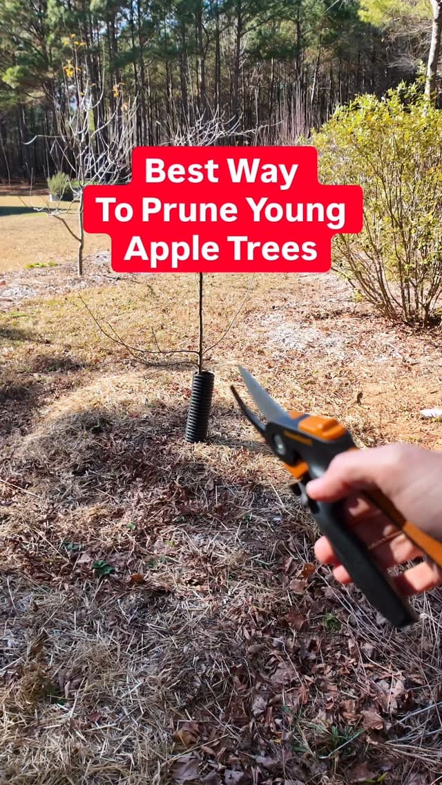 Post 7 by Josh Gardens on Instagram (video)