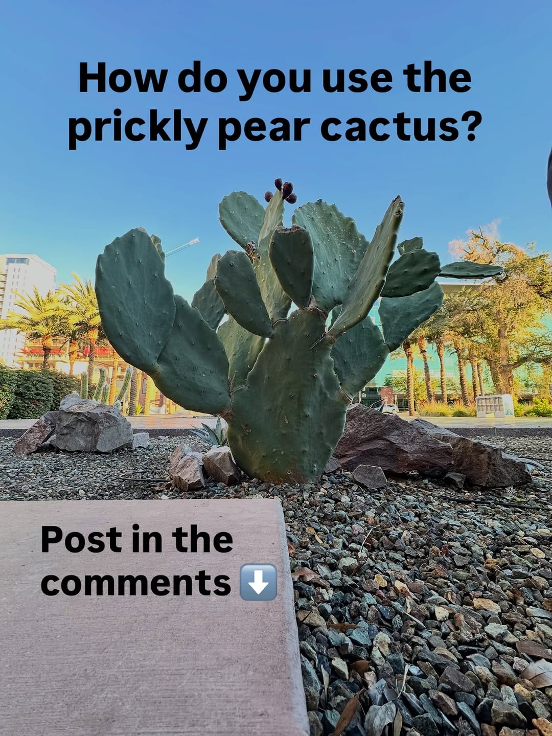 Post 9 by Josh Gardens on Instagram (carousel)
