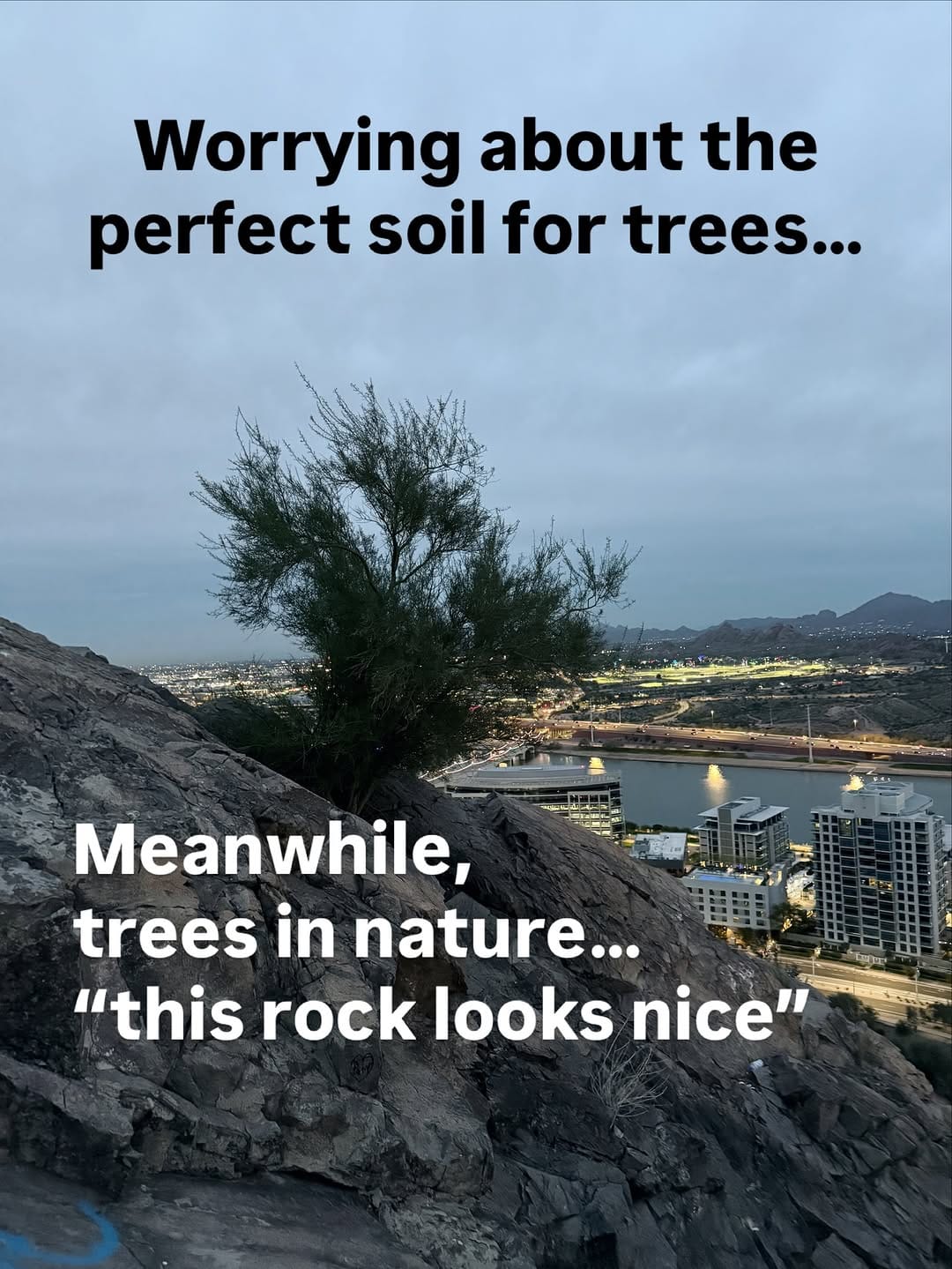 Post 8 by Josh Gardens on Instagram (image)