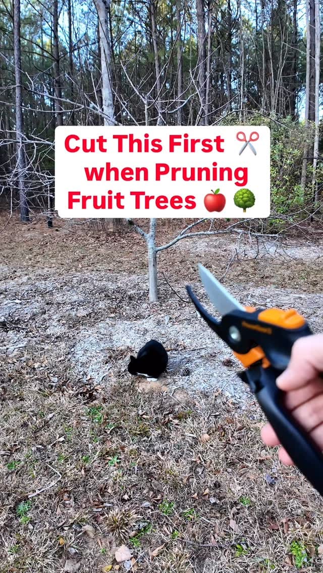 Post 5 by Josh Gardens on Instagram (video)
