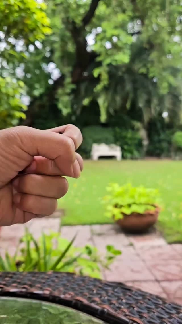 Post 10 by Codeschool.pk on Instagram (video)