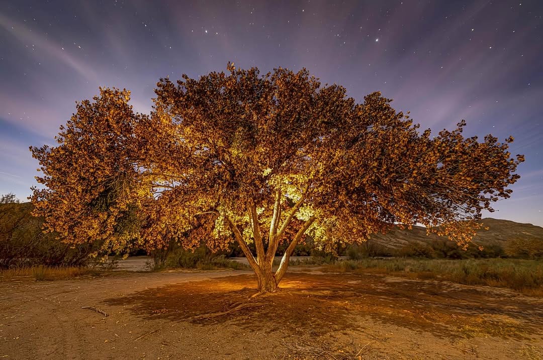 Post 8 by Pure New Mexico on Instagram (image)