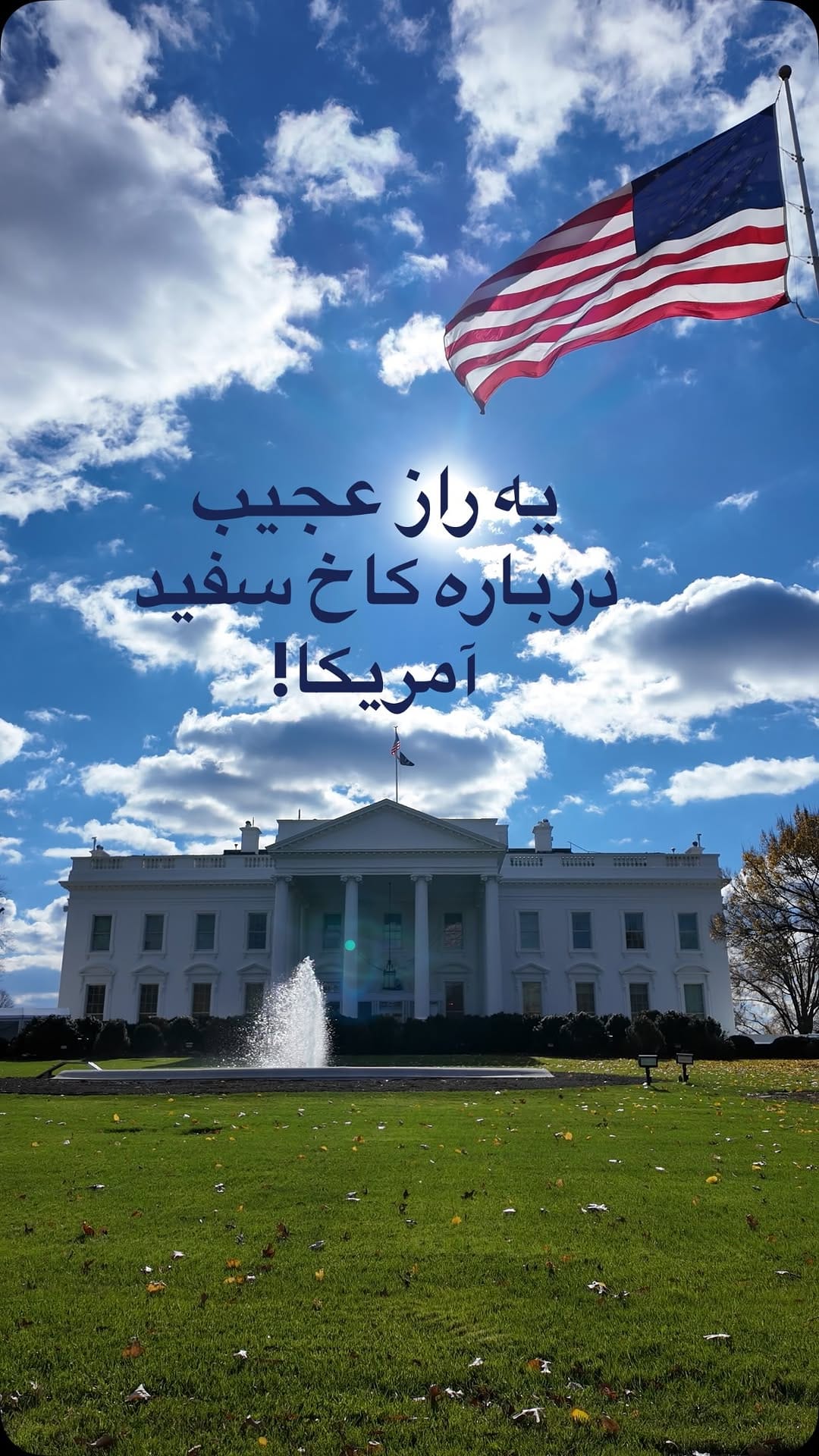 Post 1 by Mahshid Zandian on Instagram (video)