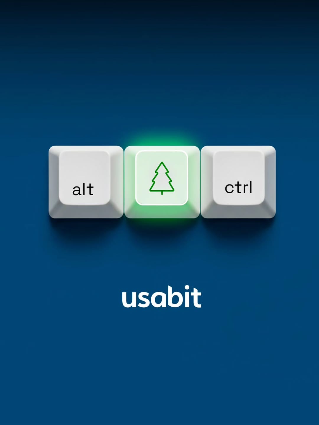 Post 1 by Usabit on Instagram (image)