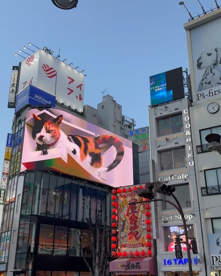 Post 9 by Rafael Piquete on Instagram (carousel)