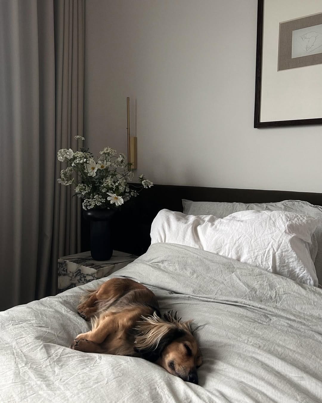 Post 5 by KATIE & D on Instagram (image)