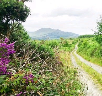 Post 2 by The Ireland Way®
Hiking Trail 1,000km on Instagram (video)