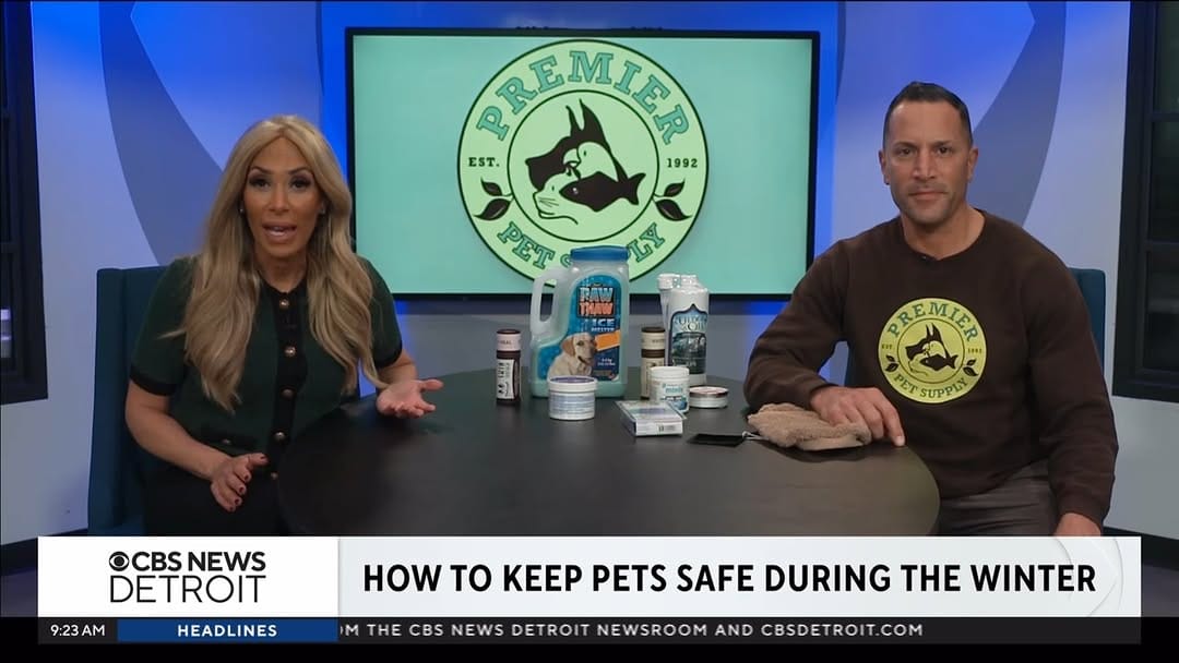 Post 2 by Premier Pet Supply on Instagram (video)