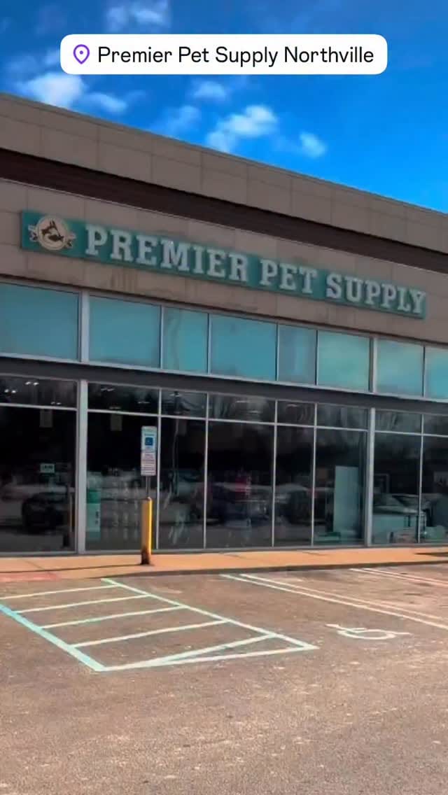Post 3 by Premier Pet Supply on Instagram (video)