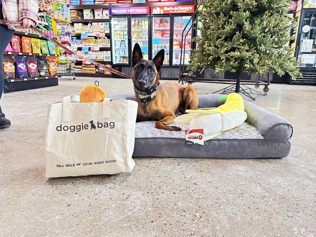 Post 7 by Premier Pet Supply on Instagram (image)