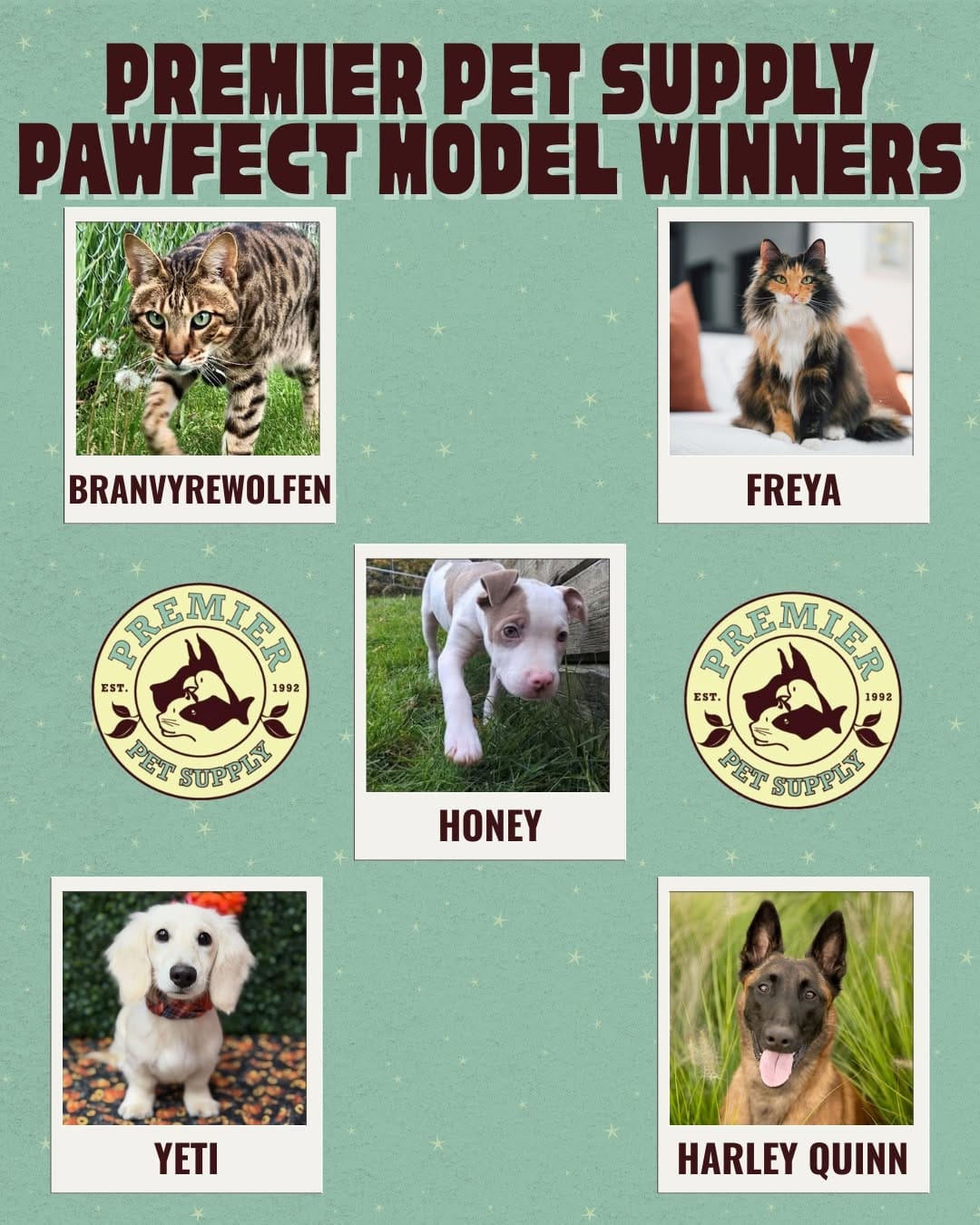 Post 8 by Premier Pet Supply on Instagram (image)