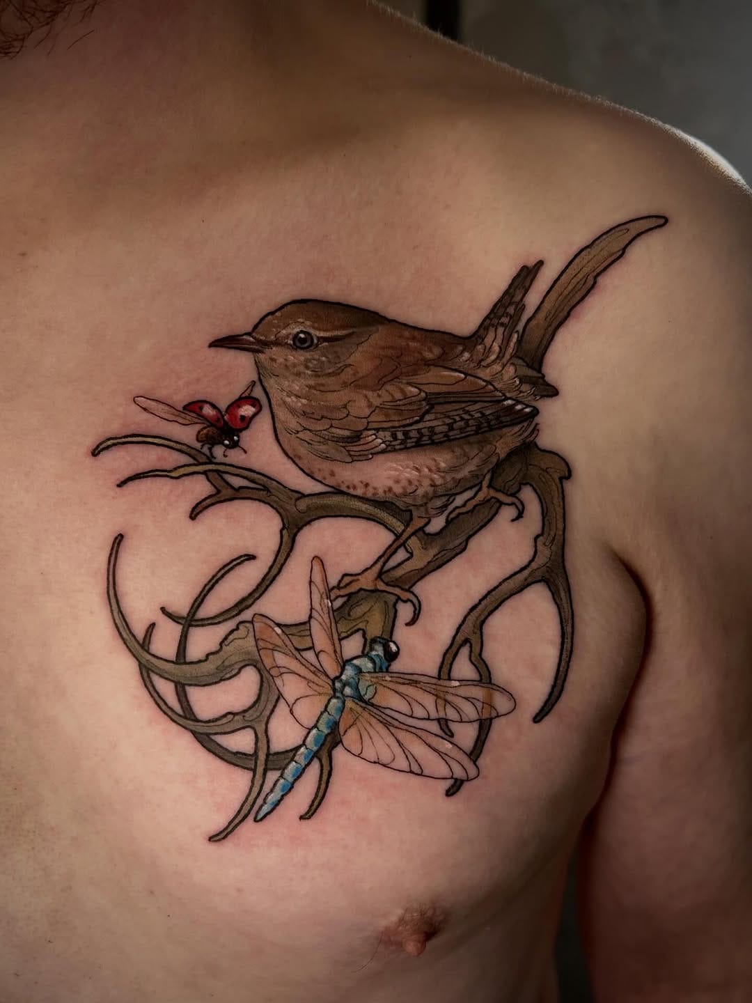 Post 5 by Natassia Wild on Instagram (image)