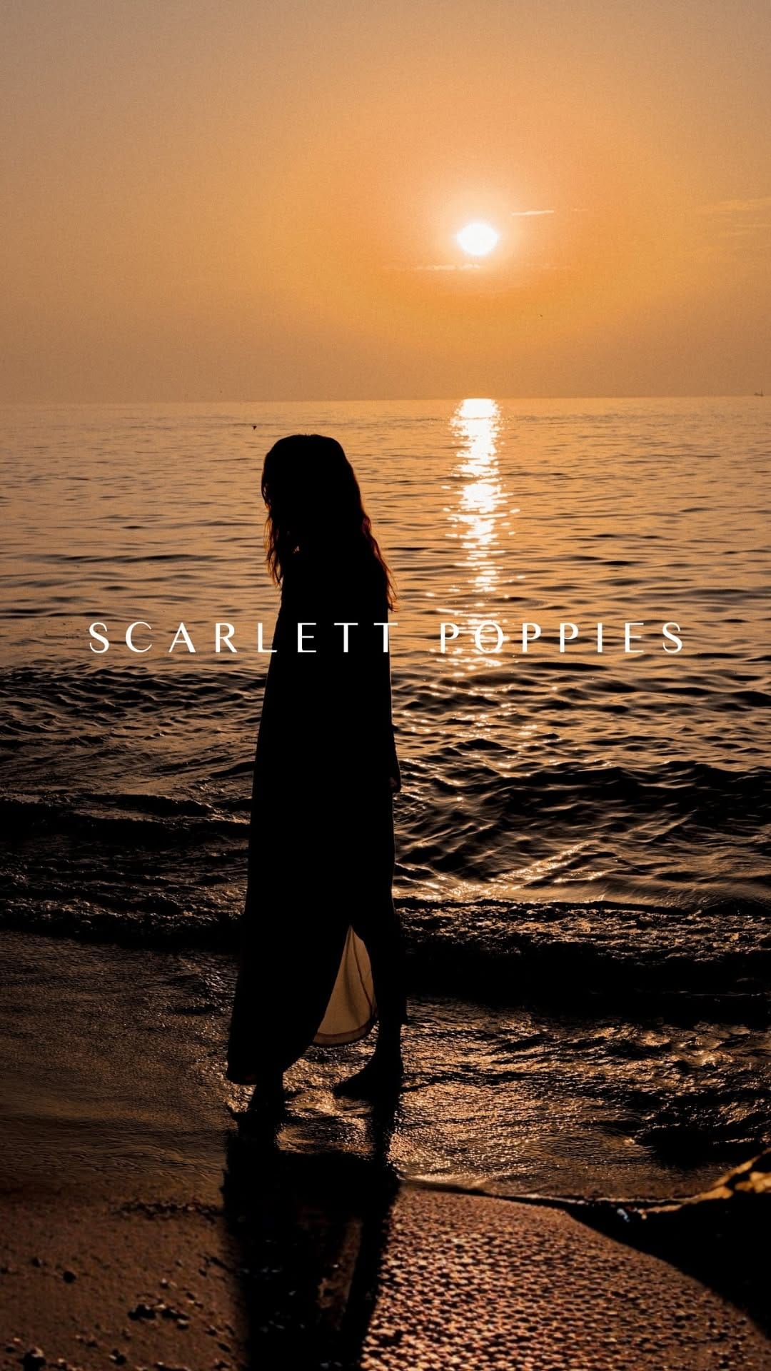Post 5 by Scarlett Poppies on Instagram (video)