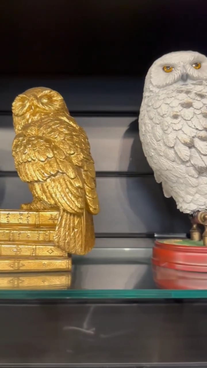Post 5 by House of Spells | Shop Harry Potter |Liverpool & Stratford on Instagram (video)