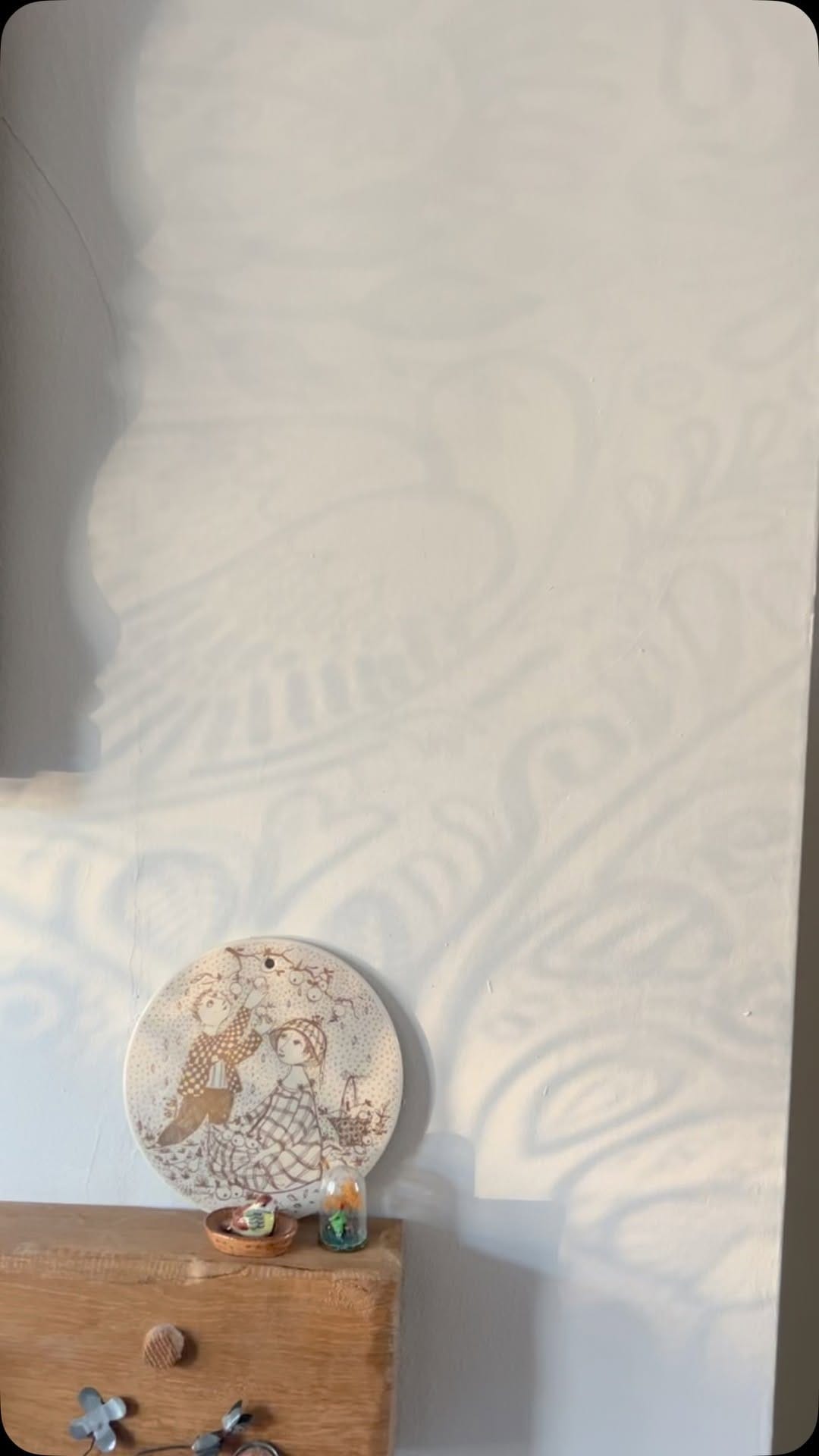 Post 10 by Blossom & Brush | WINDOW FILM on Instagram (video)