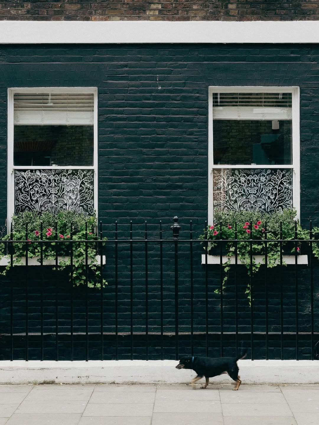 Post 6 by Blossom & Brush | WINDOW FILM on Instagram (image)