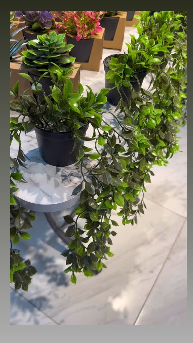 Post 1 by ⚪️𝓘̇𝓷𝓬𝓲 𝓗𝓸𝓶𝓮 ⚪ on Instagram (video)