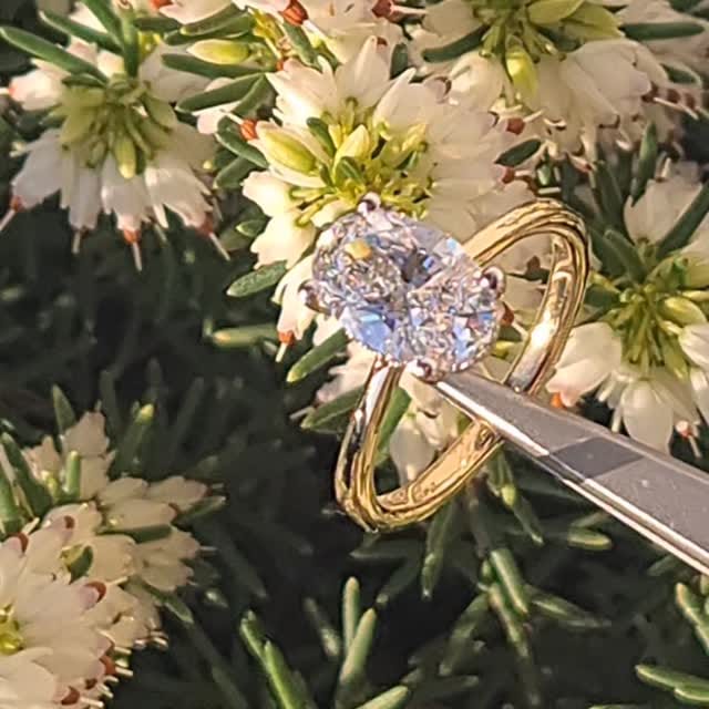 Post 2 by Michael Kenny on Instagram (video)