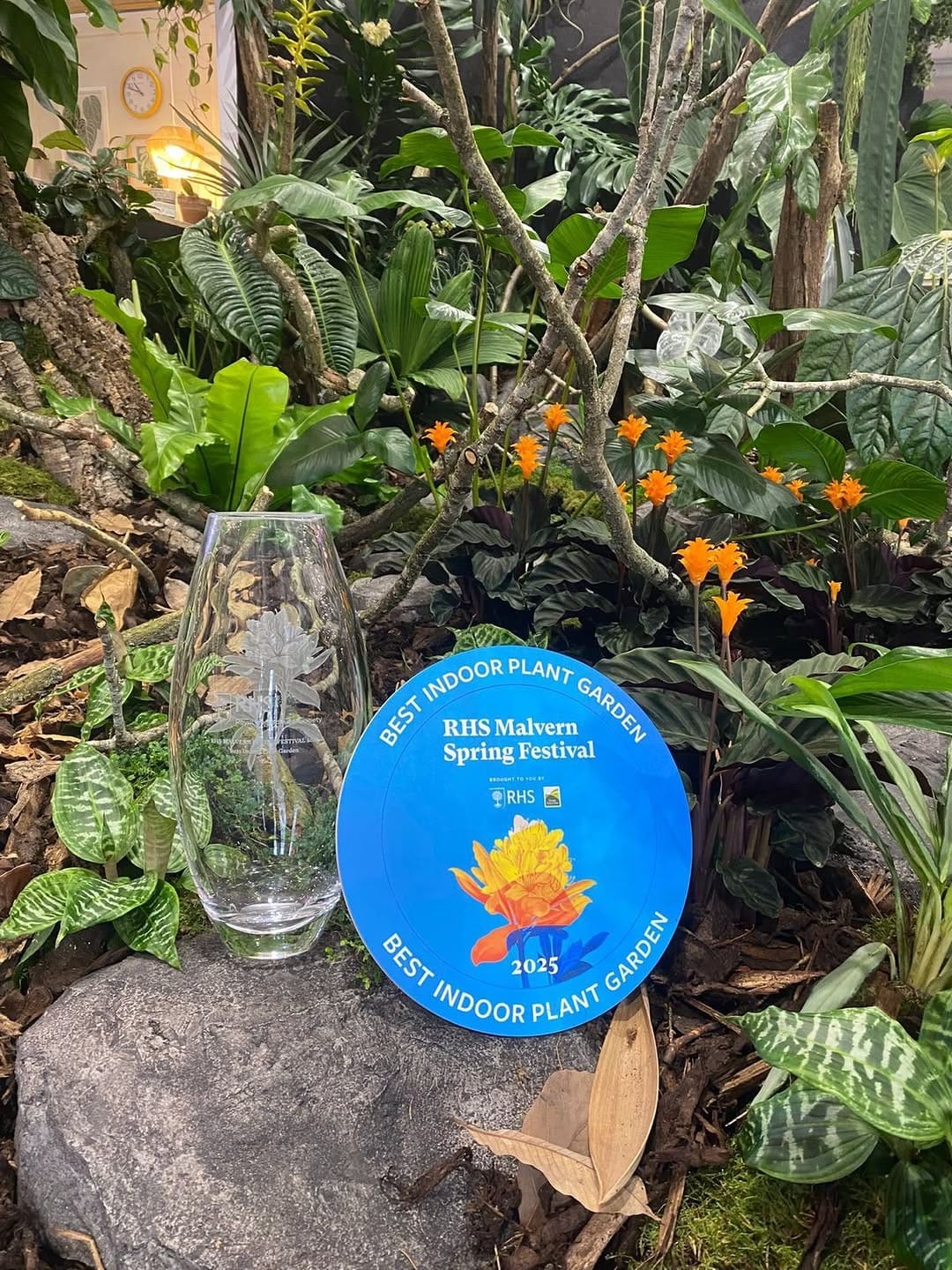 Post 3 by GrowTropicals | Online Plant Shop 🪴 on Instagram (carousel)