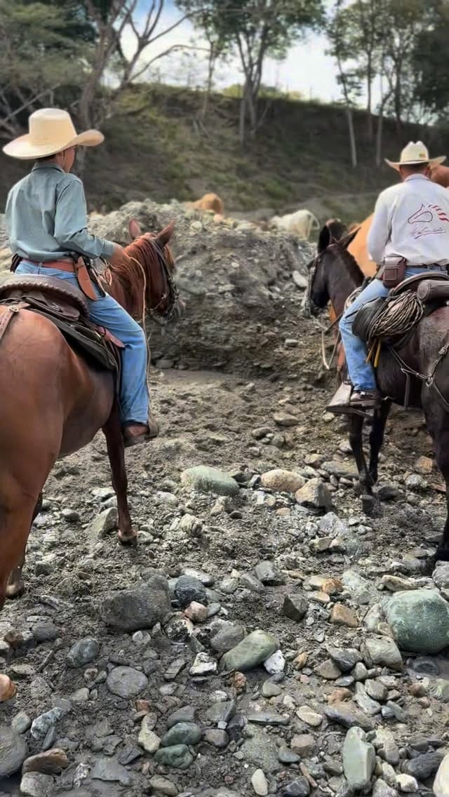 Post 1 by Guillermo Londoño on Instagram (video)