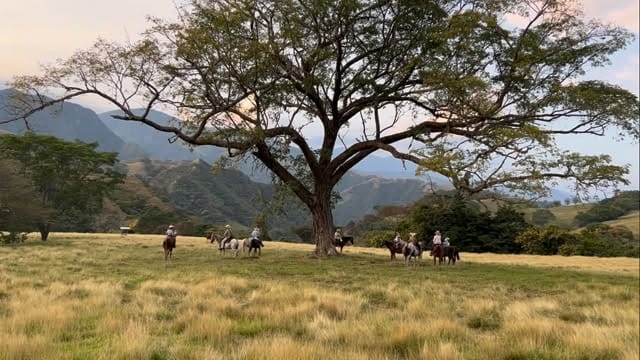 Post 7 by Guillermo Londoño on Instagram (video)