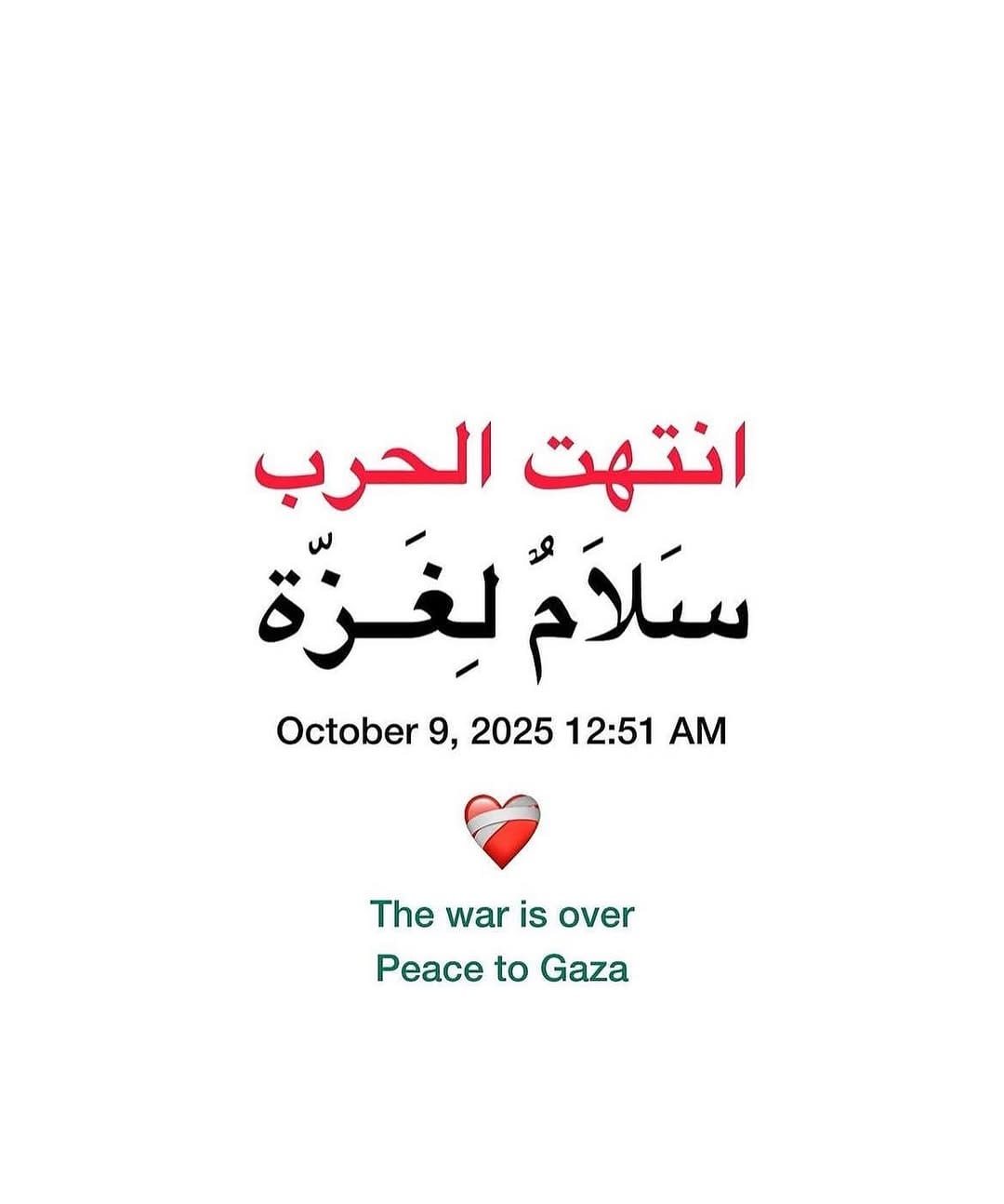 Post 9 by Yasmine Oraby on Instagram (image)