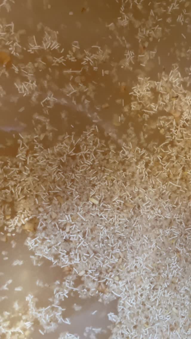 Post 2 by Killowen Distillery on Instagram (video)